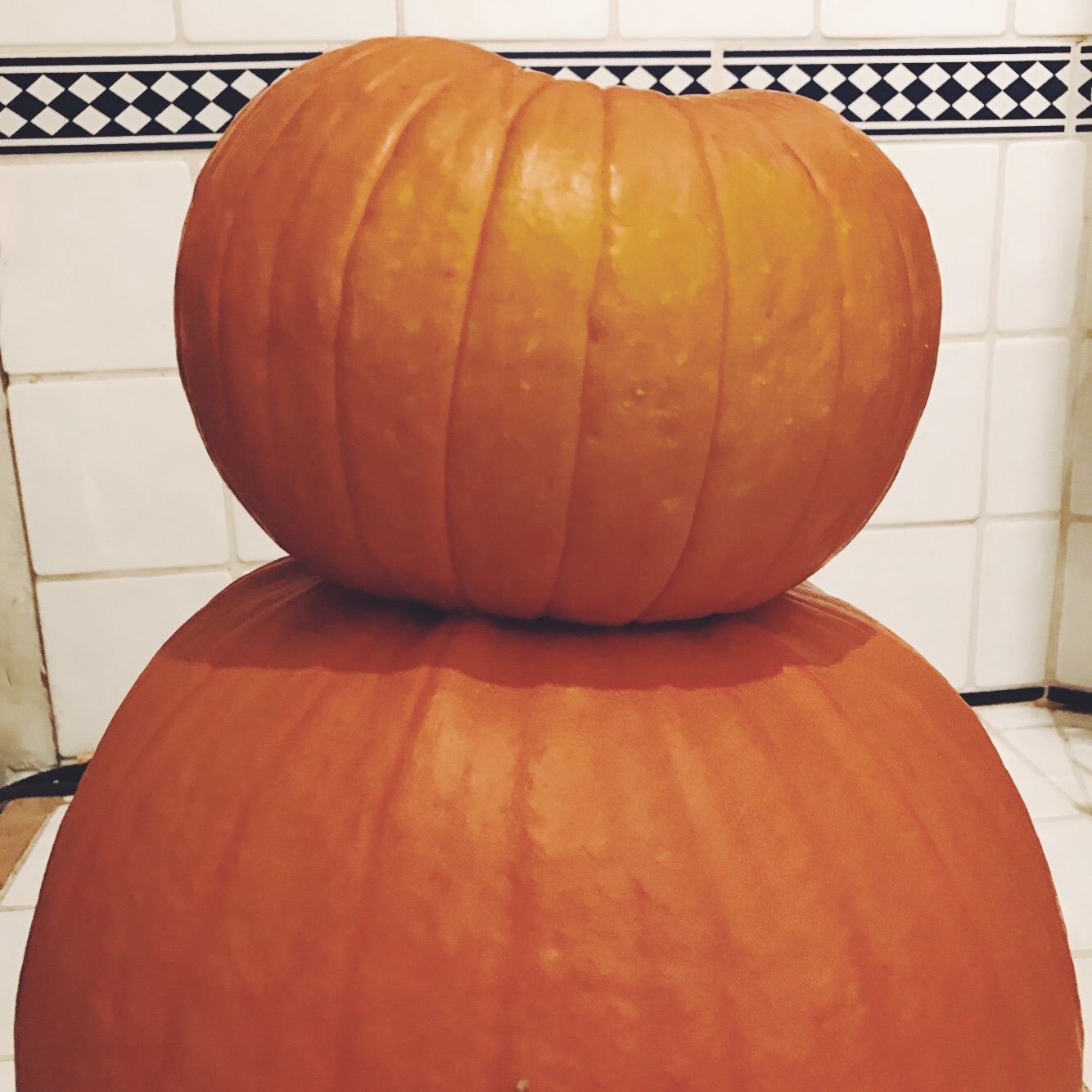 diy-potiron-halloween-chat-noir