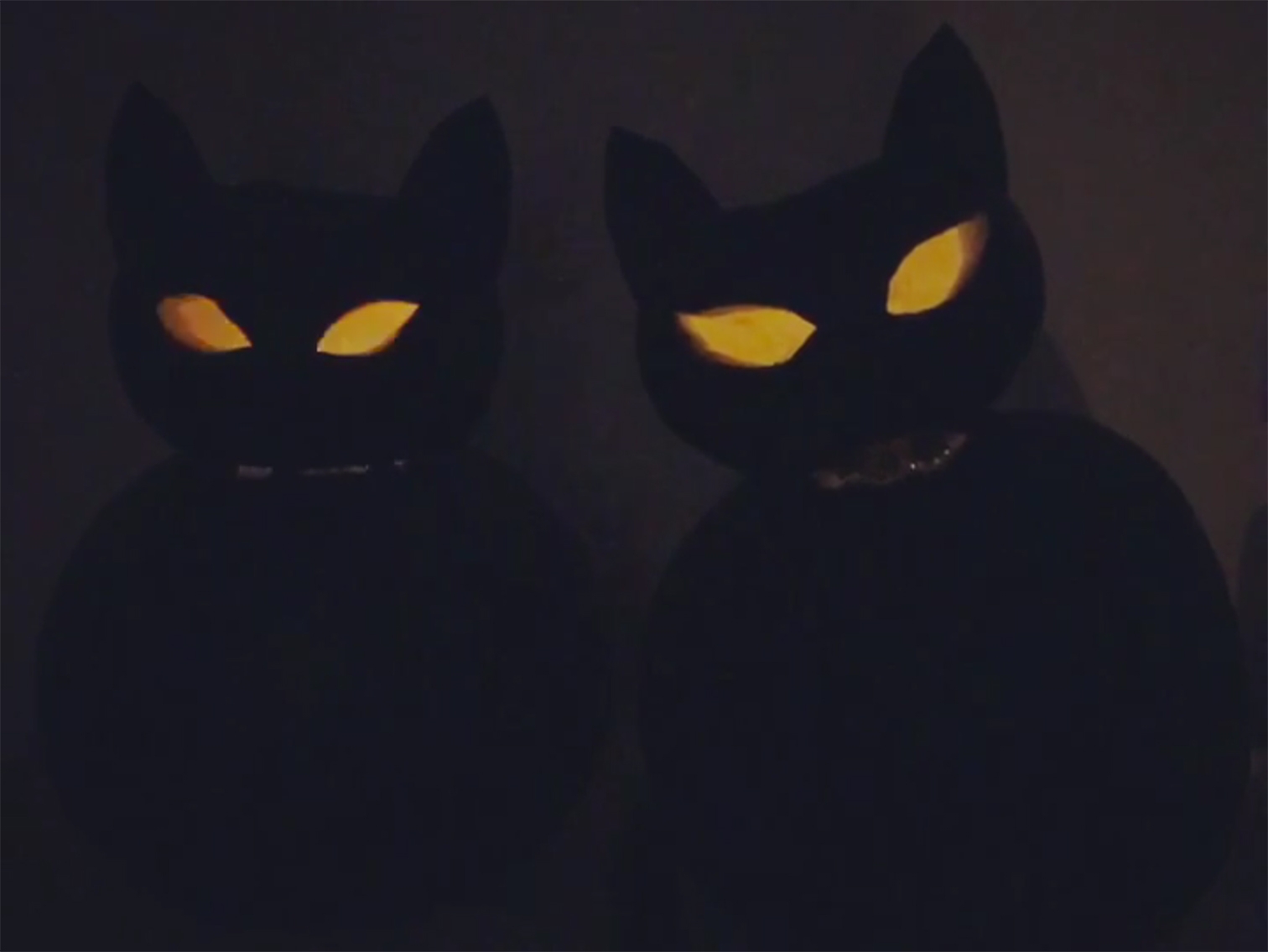 DIY Potiron Cats pour Halloween
