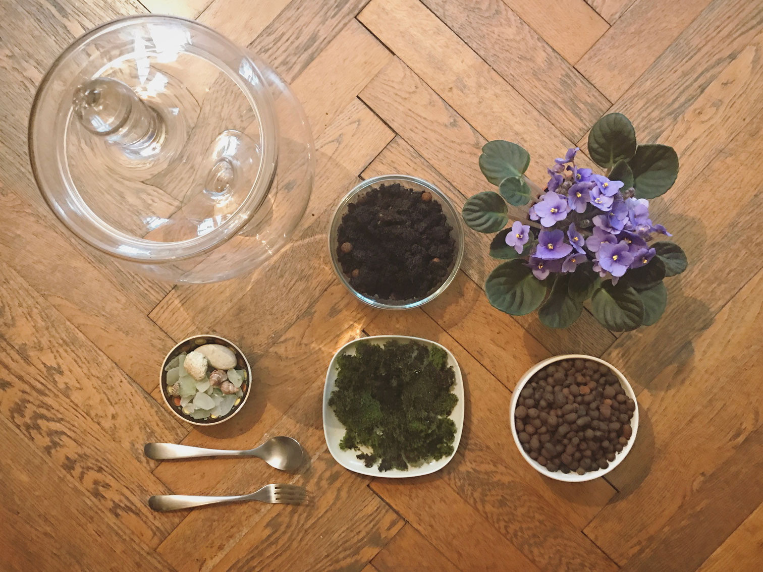 DIY Terrarium petite merveille!
