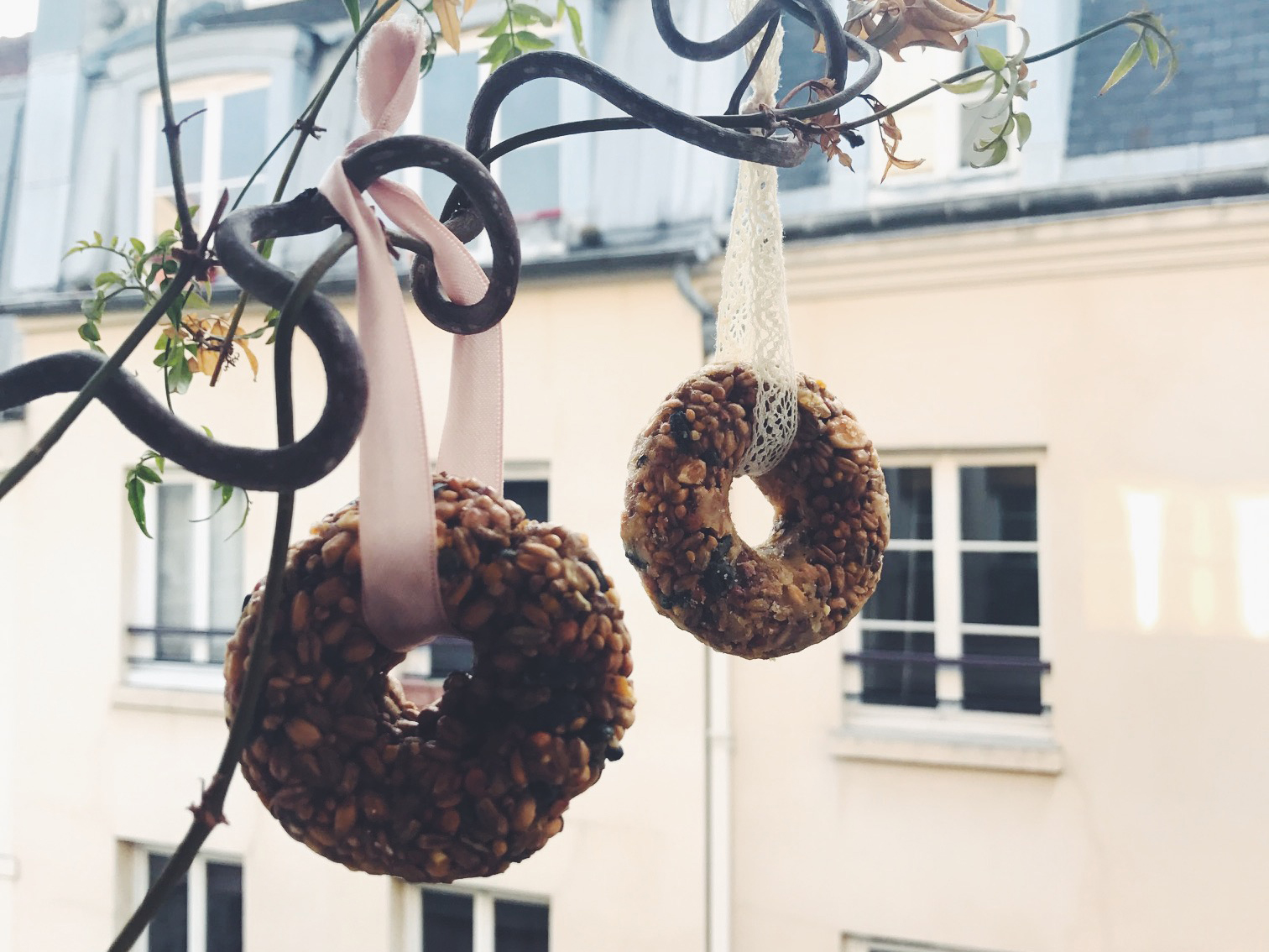 DIY birdfeeder pour nos petits oiseaux chéris!