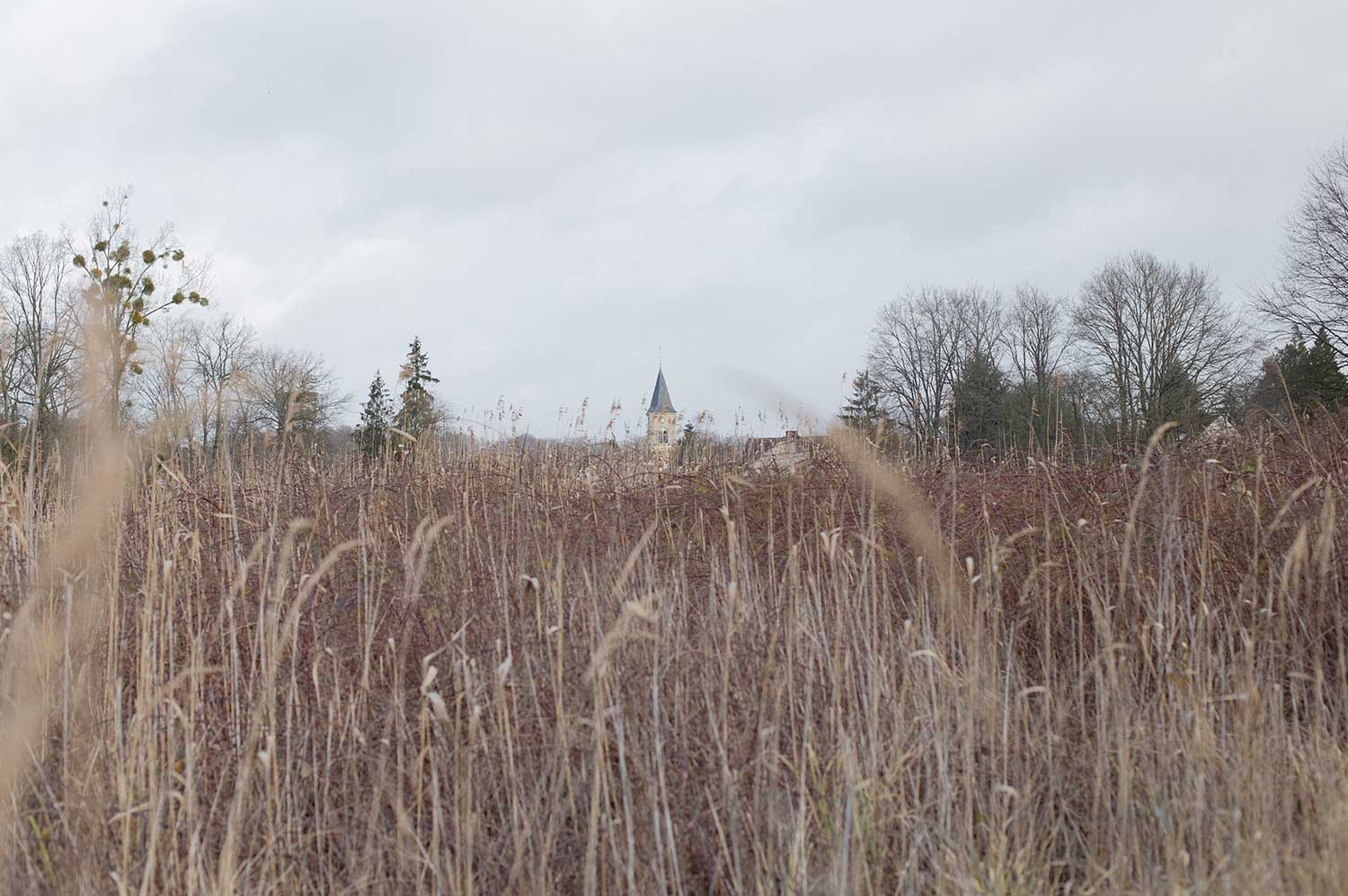 Bourron-marlotte-hiver