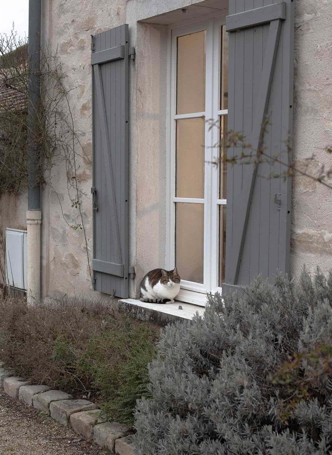 Bourron-marlotte-hiver