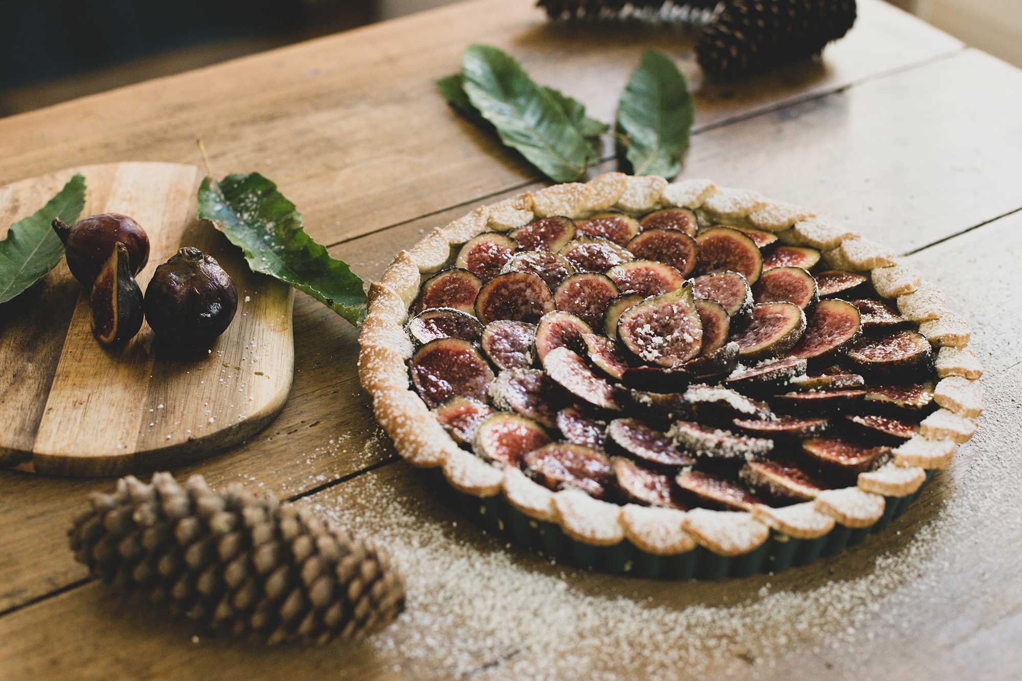 equinox-figue equinox-figue