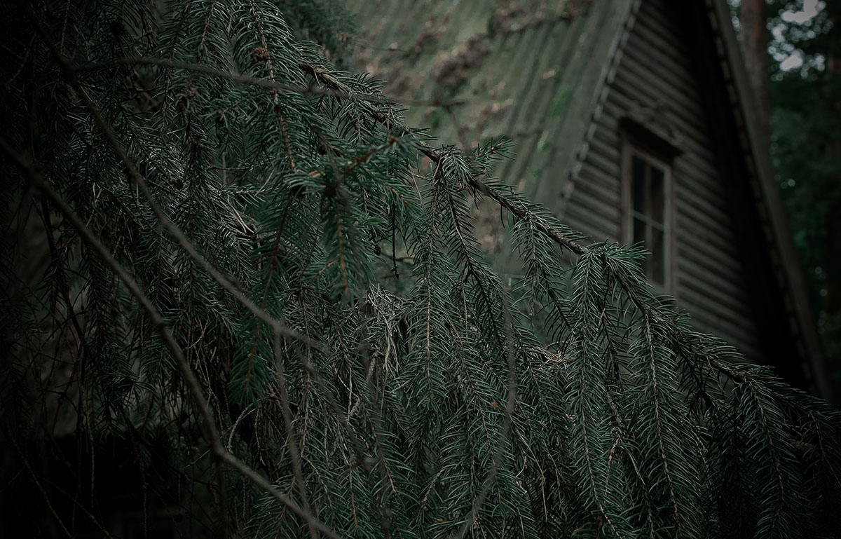 elenah-witch-house-voriagh elenah-witch-house-voriagh