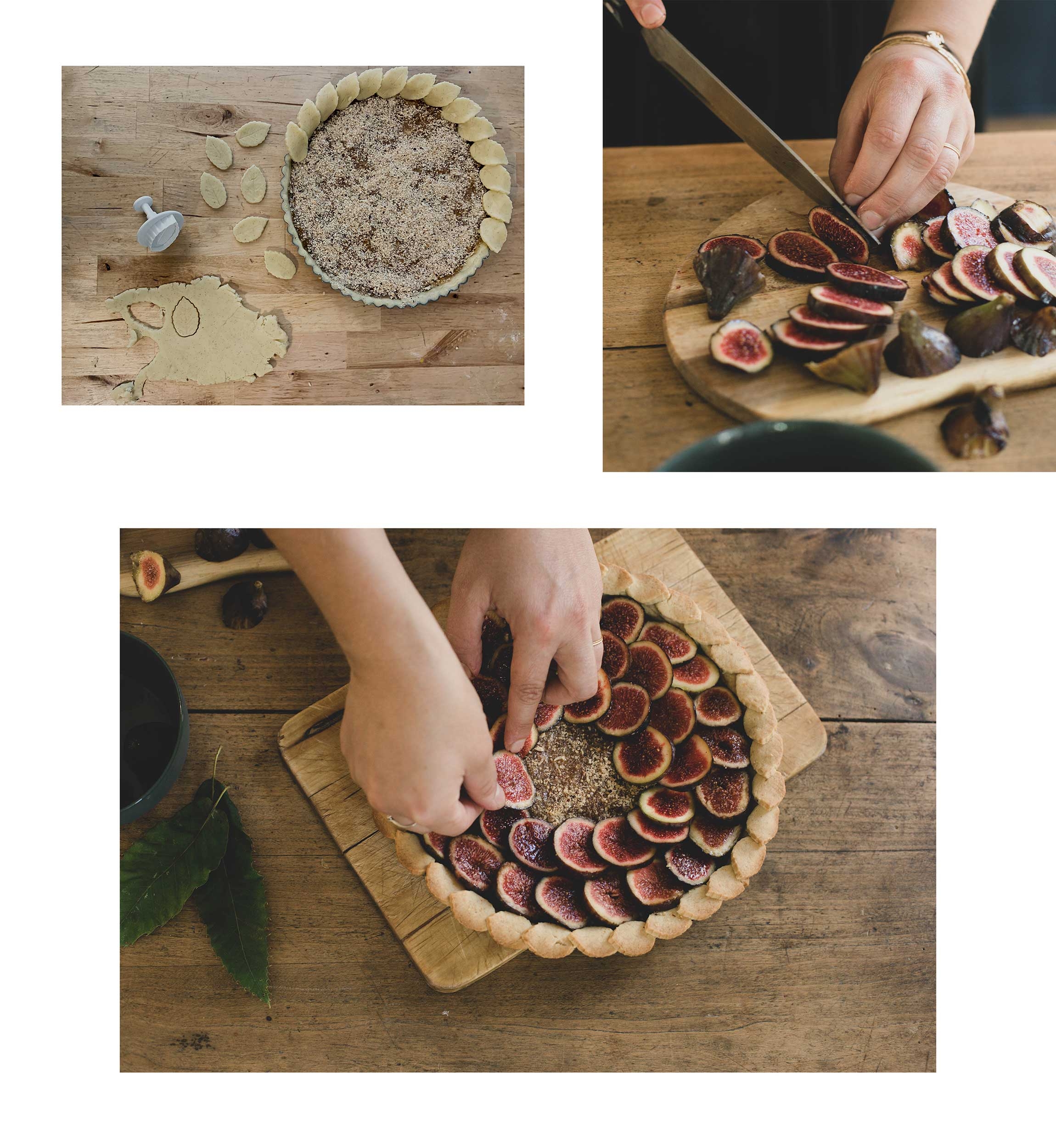 equinox-figue equinox-figue